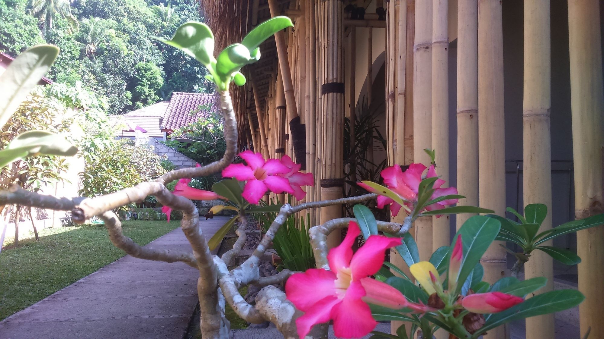 Senggigi Cottages Lombok Exterior photo